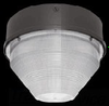 Vandal Resistant Commercial Fixture - VANGF42QT/E2 - RAB Lighting