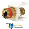 Panduit® NetKey Keystone Module with 5-Way Binding.. - NKBP - TelephoneStuff.com