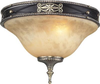 2424/2 Flush Mounts-Bowl Style - 499329 - Capital Lighting, Inc.