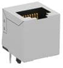Modular Connectors / Ethernet Connectors - 133183 - VAST STOCK CO., LIMITED