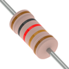 Through Hole Resistors - FMP300FBF73-102K-ND - DigiKey