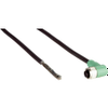 Circular Cable Assemblies - 1882-6041751-ND - DigiKey