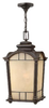 Exterior -Hanging - 350938 - Light Center (The)