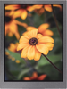 All Shore Industries, Inc. > Liquid Crystal Displays | - ASI-T-350RA3RSN/D - All Shore Industries
