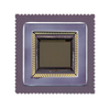 Image Sensors, Camera - NOII4SM1300A-QDC - ODG (Origin Data Global)