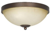 Flush Mounts-Bowl Style - 319711 - Light Center (The)