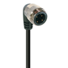 Mini Power Single-Ended Cordset: 1 3/8
