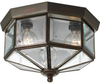 P5788-20 Flush Mounts-Cage Style - 414970 - Capital Lighting, Inc.