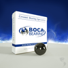 Ceramic HIP C-HIP Series Balls -- 1/16 IN-C-HIP SI3N4 BALL GRADE 5 (1 PC) - Image