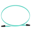 Fiber Optic Cables - FZ2ELLNLNSNM020-ND - DigiKey