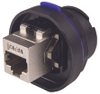 Ethernet Couplers - 2592304 - RS Components, Ltd.