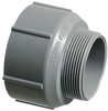Rigid PVC Conduit Adapter -- NM2520 - Image