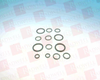 Hydraulic Pump Rebuild Kit / Seal Kit -- 17573983