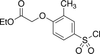 Ethyl [2-Methyl-3-(chlorosulfonyl)phenoxy]acetate -- E925070