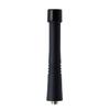 Coaxial Cables (RF) - 5073-LCCA31243-FT1-ND - DigiKey