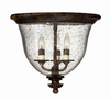 3712FB Flush Mounts-Cage Style - 791606 - Capital Lighting, Inc.