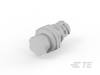 Push Button Switches -- K1156657