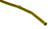 Hook Up Wire - 7244336 - RS Components, Ltd.
