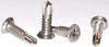 Self-Drilling Screw -- 321844 - Image