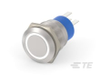Push Button Switches -- 2-2213767-1 - Image