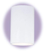 Exterior -Ceiling Mount - 296344 - Light Center (The)