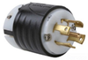 Locking Device Plug -- L2230-P - Image