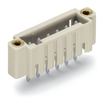 Male connector/plug - 734-142/108-000 - WAGO