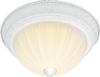 Flush Mounts-Bowl Style - 290746 - Light Center (The)