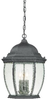 SL92347 Exterior -Hanging - 399260 - Capital Lighting, Inc.