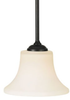 Pendant Light Fixture - P1117ORB - Generation Brands