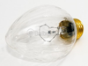 100 Watt, 120 Volt F20 Flame Post Bulb -- 168443 - Image