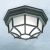 SL7457 Flush Mounts-Cage Style - 751692 - Capital Lighting, Inc.
