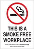 Brady B-586 Paper Rectangle White Smoking Not Permitted Sign - 10 in Width x 14 in Height - TEXT: THIS IS A SMOKE-FREE WORKPLACE - 115931 - 754473-18574 - R. S. Hughes Company, Inc.