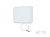 Antennas - PAV38278P-30D43F - TE Connectivity