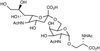 STn Epitope, N-Acetate - 13530 - Medical Isotopes, Inc.