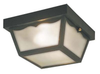Exterior -Ceiling Mount - 329022 - Light Center (The)