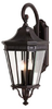Outdoor Wall Light - OL5404GBZ - Generation Brands