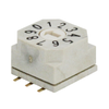 DIP Switches - 2449-RD10AA10CGRTR-ND - DigiKey