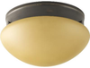 P3410-20T Flush Mounts-Bowl Style - 687481 - Capital Lighting, Inc.