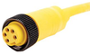 Sensor Cord, 7/8 Rcpt-Free End, 32.8 ; Connector Type A Amphenol Sine/tuchel - 14R7269 - Newark, An Avnet Company