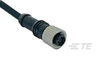 M8/M12 Cable Assemblies - 1838242-3 - TE Connectivity