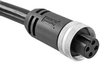 Sensor Cord, 4P M35 Rcpt-Free End, 6.6 ; Connector Type A Amphenol Sine/tuchel - 14R7439 - Newark, An Avnet Company