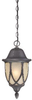 190081763 Exterior -Hanging - 399045 - Capital Lighting, Inc.