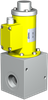 Special Valve -- IV 16 - Image