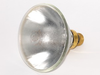100 Watt PAR38 Warm White Metal Halide Spot -- 244772 - Image