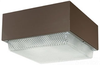 Vandal Resistant Commercial Fixture -- CL400PSQTWH
