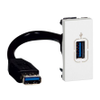 Plug Sockets -- 2552277 - Image