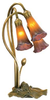 13674 Lamps-Accent Lamps - 759030 - Capital Lighting, Inc.