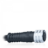 Round connector M8 4-pole Cable Set -- K04G00 - Image