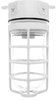 Vaporproof Incandescent Fixture with Globe and Guard - VX100DGW - RAB Lighting